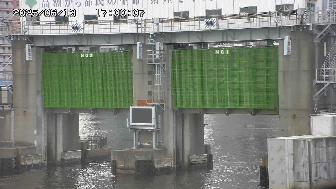 Floodgate full view camera
