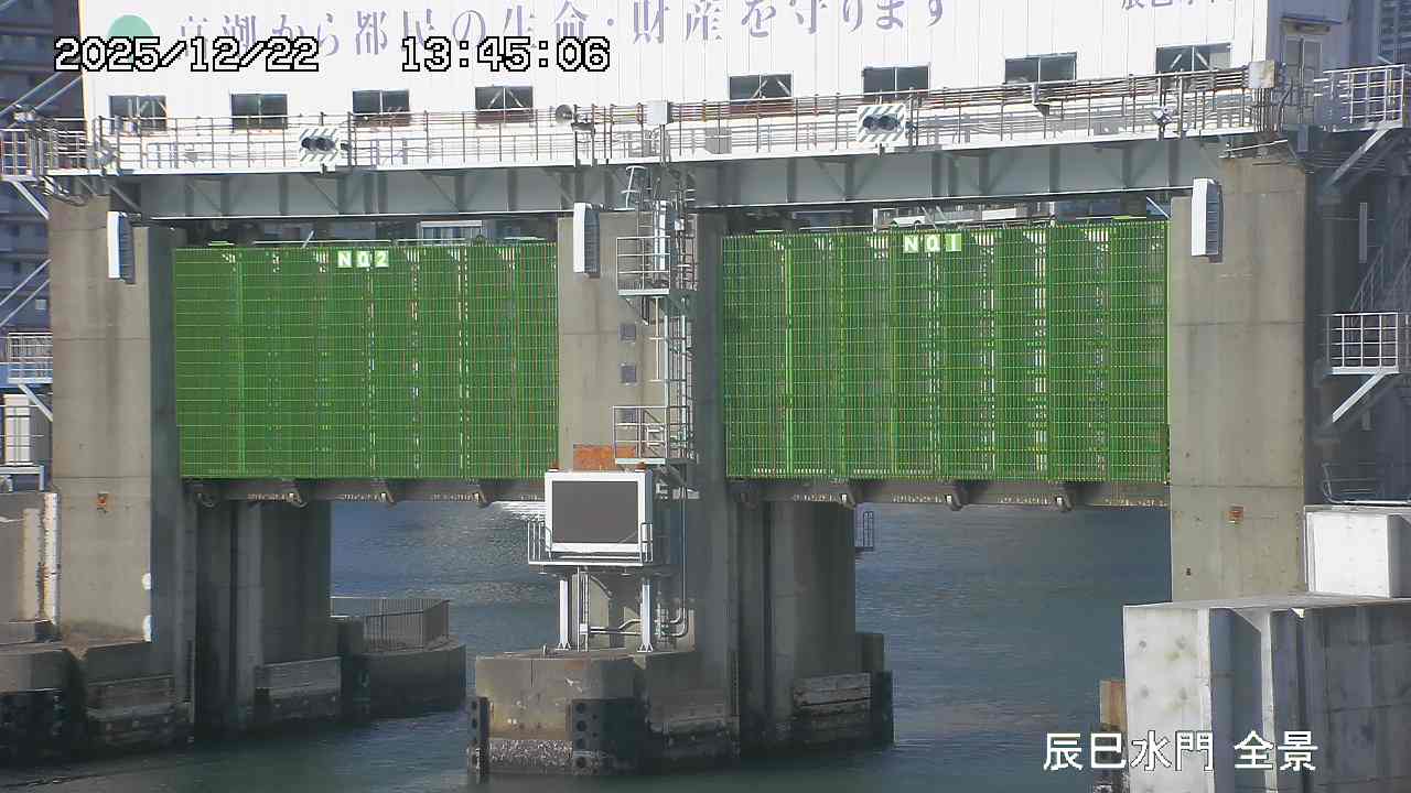 Floodgate full view camera