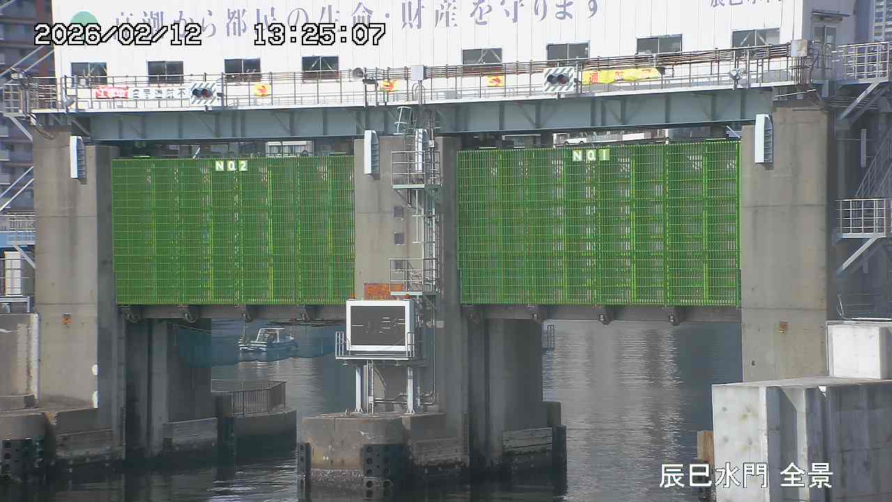 Floodgate full view camera