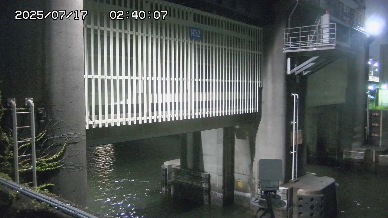 Floodgate full view camera