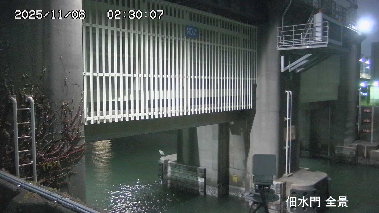 Floodgate full view camera