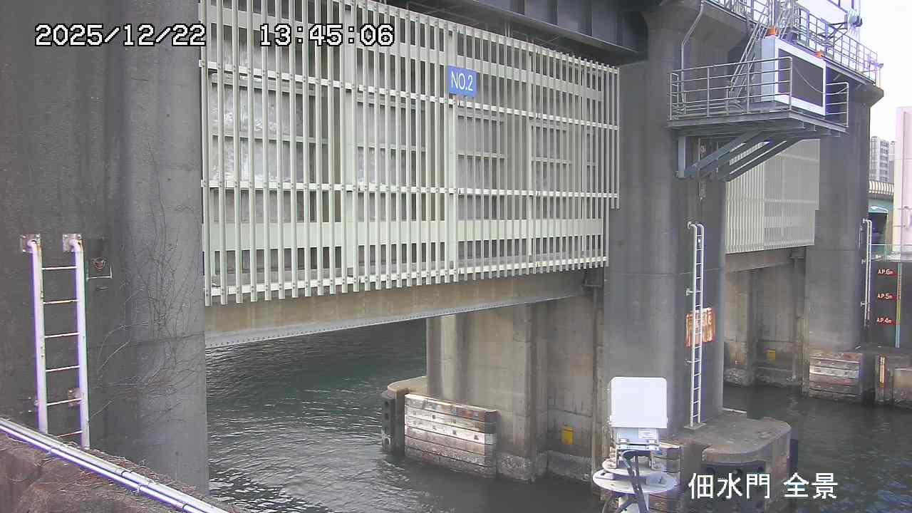 Floodgate full view camera