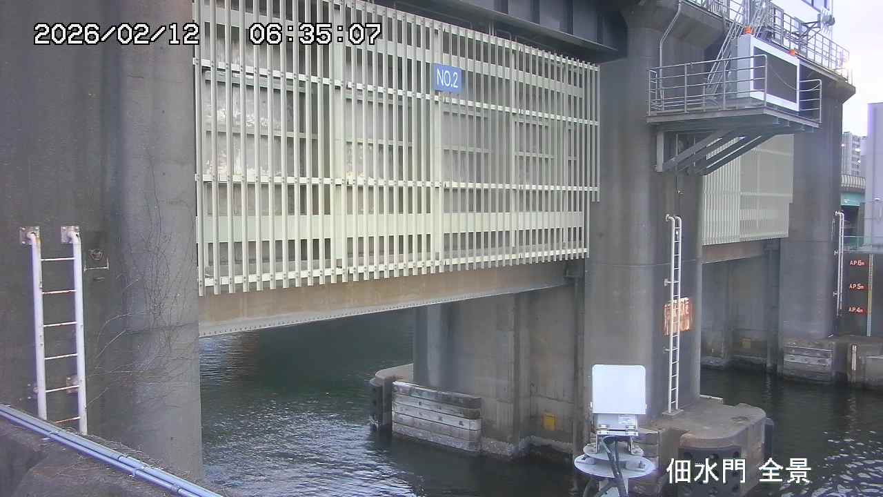 Floodgate full view camera