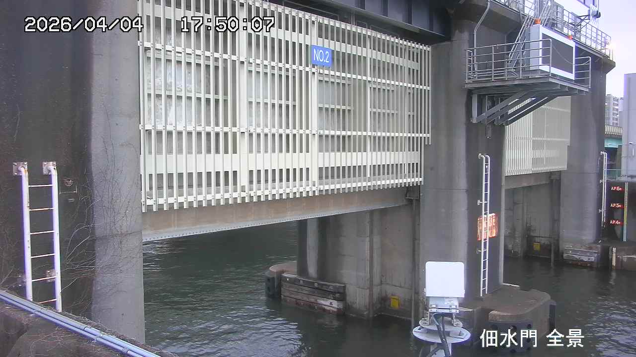 Floodgate full view camera
