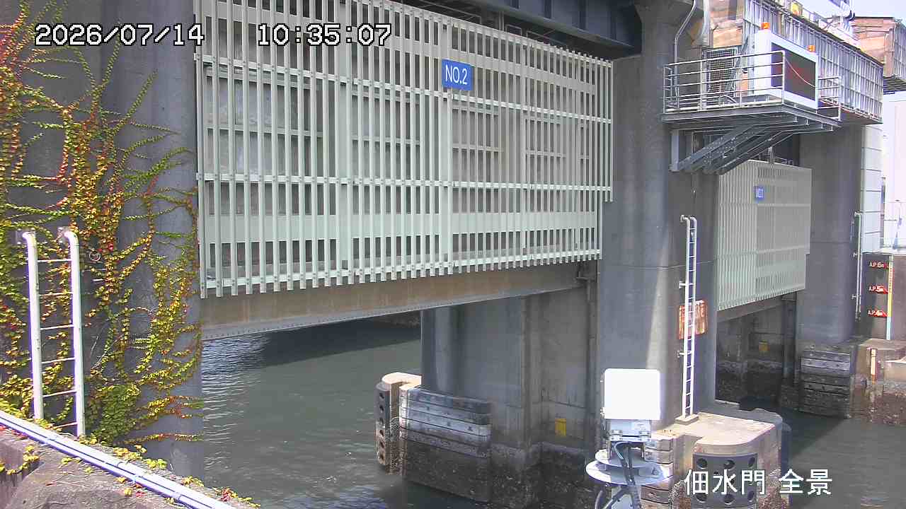 Floodgate full view camera