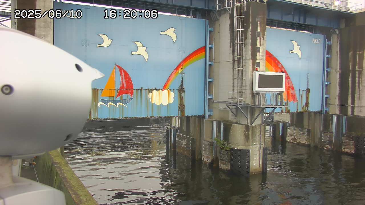 Floodgate full view camera