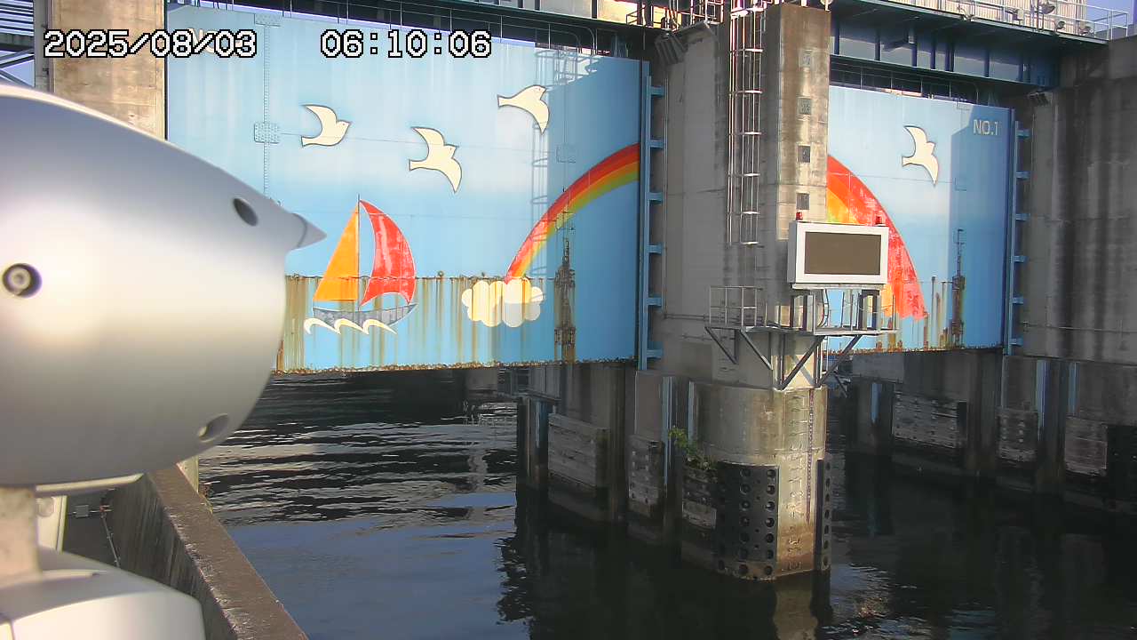 Floodgate full view camera