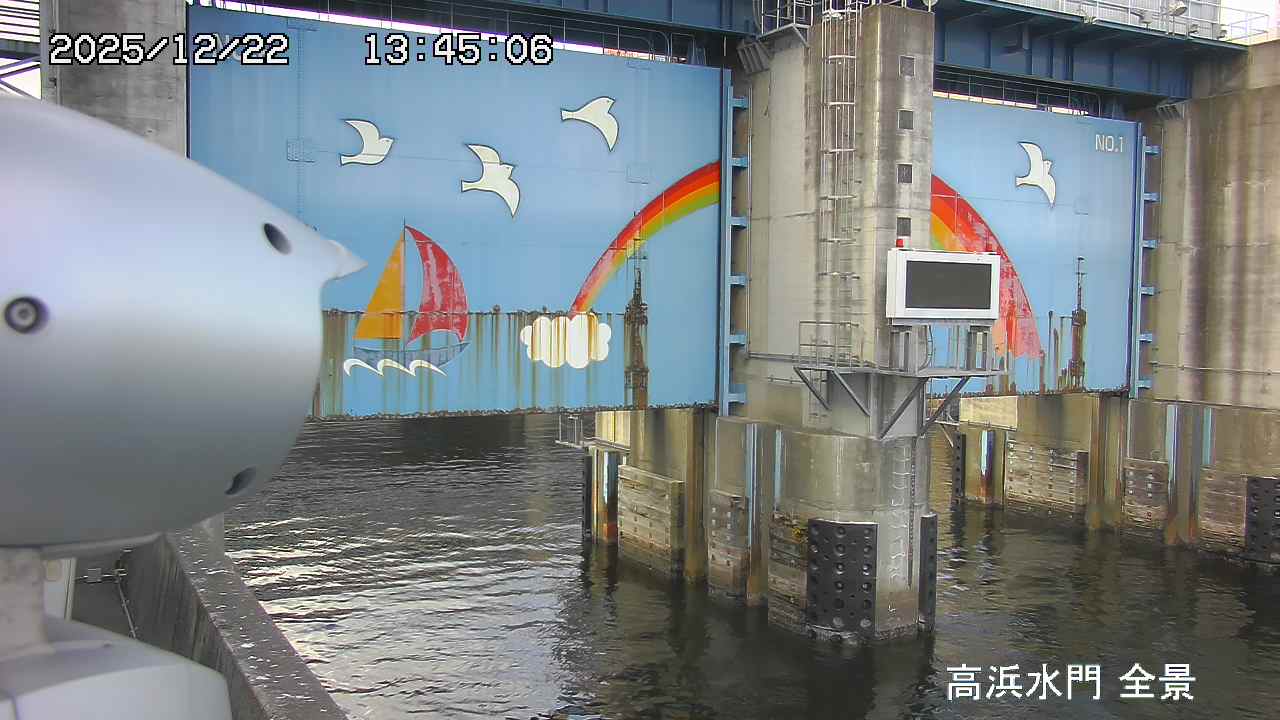 Floodgate full view camera