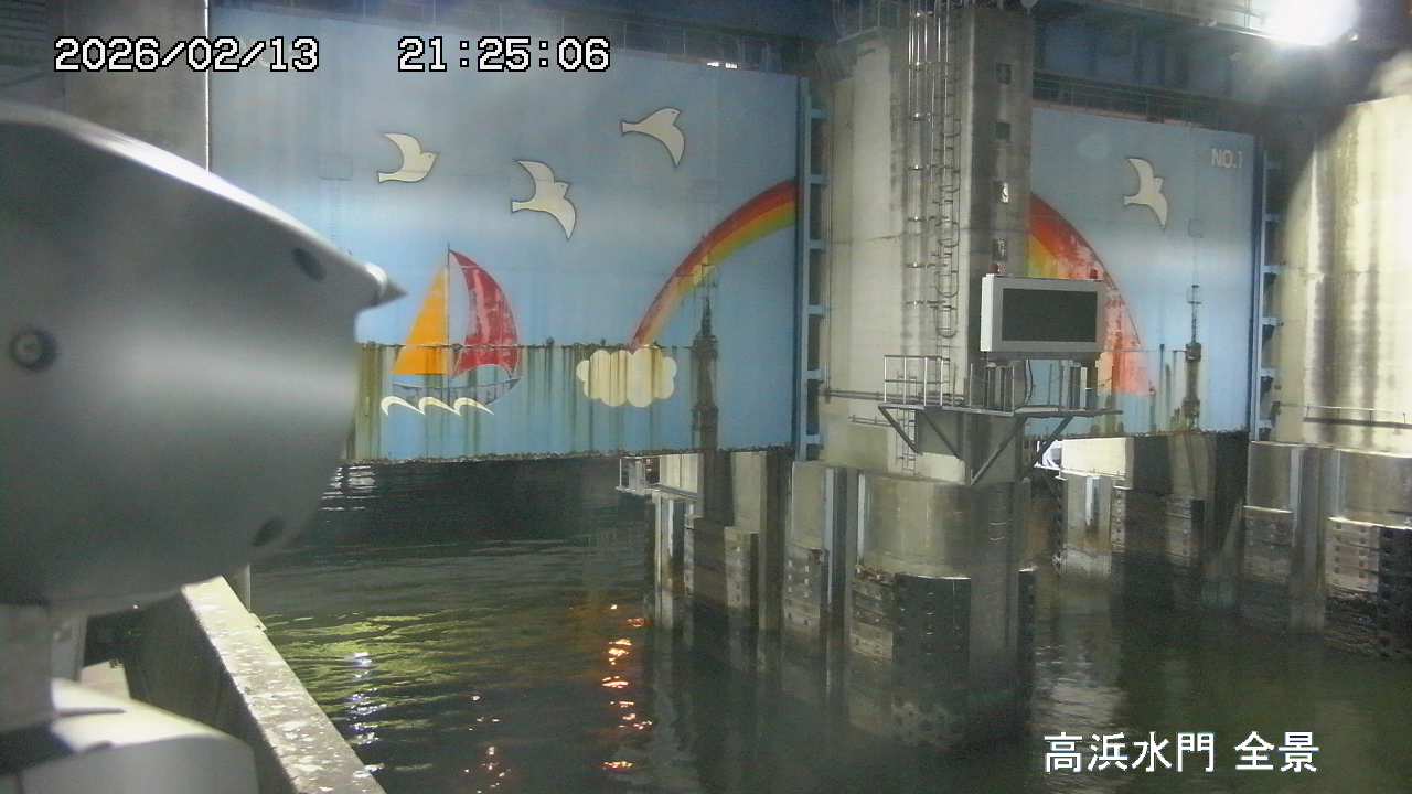 Floodgate full view camera