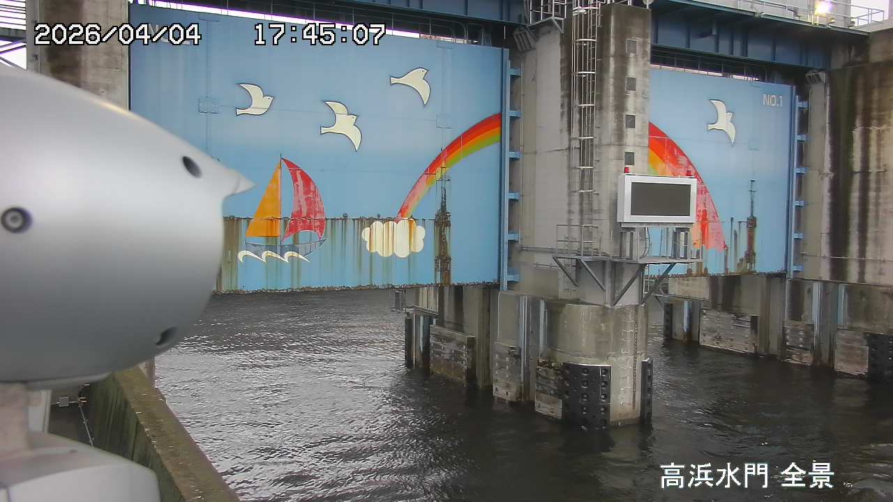 Floodgate full view camera