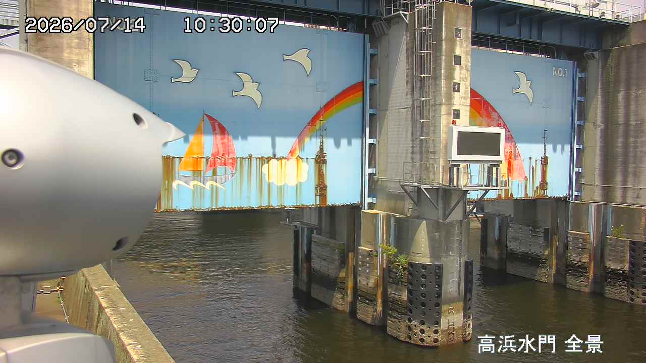 Floodgate full view camera