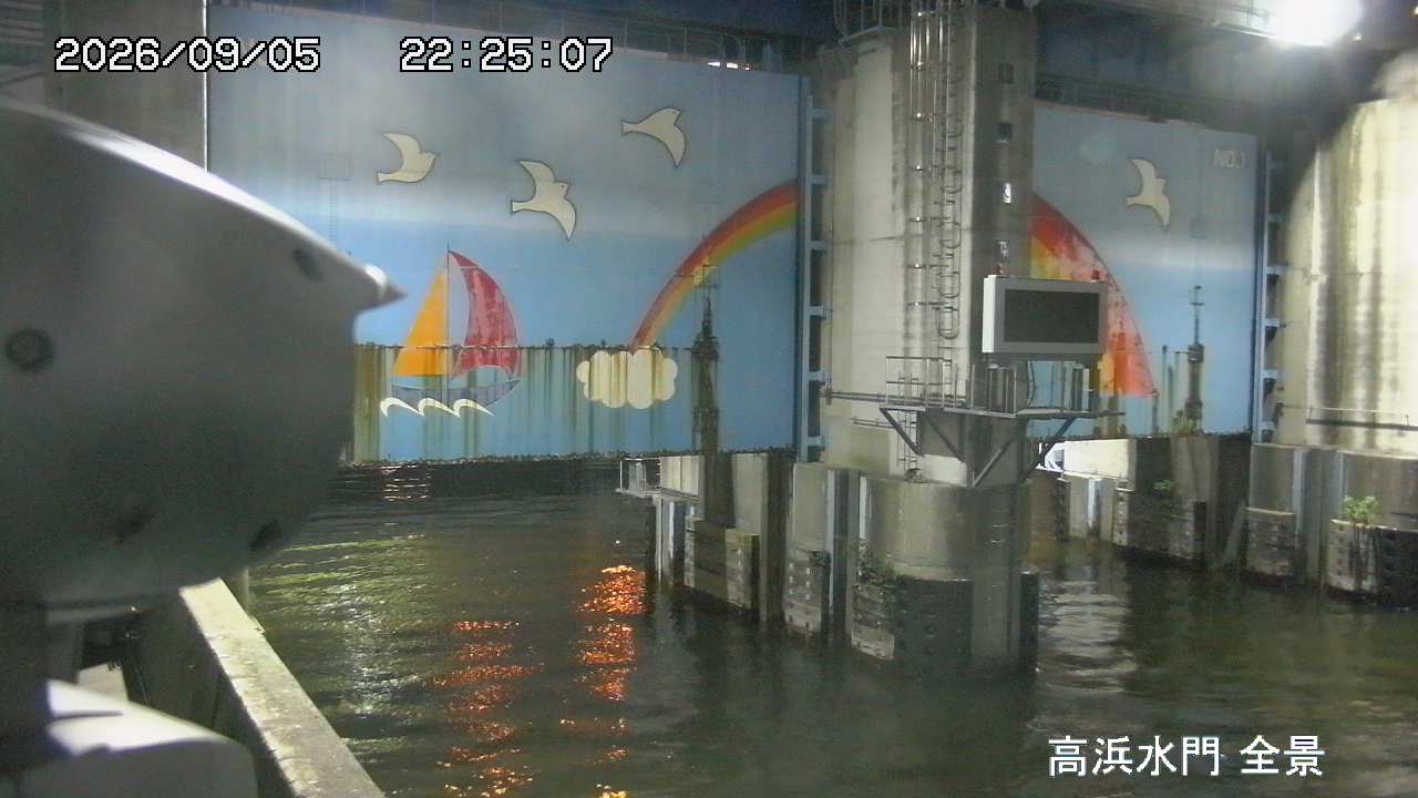 Floodgate full view camera