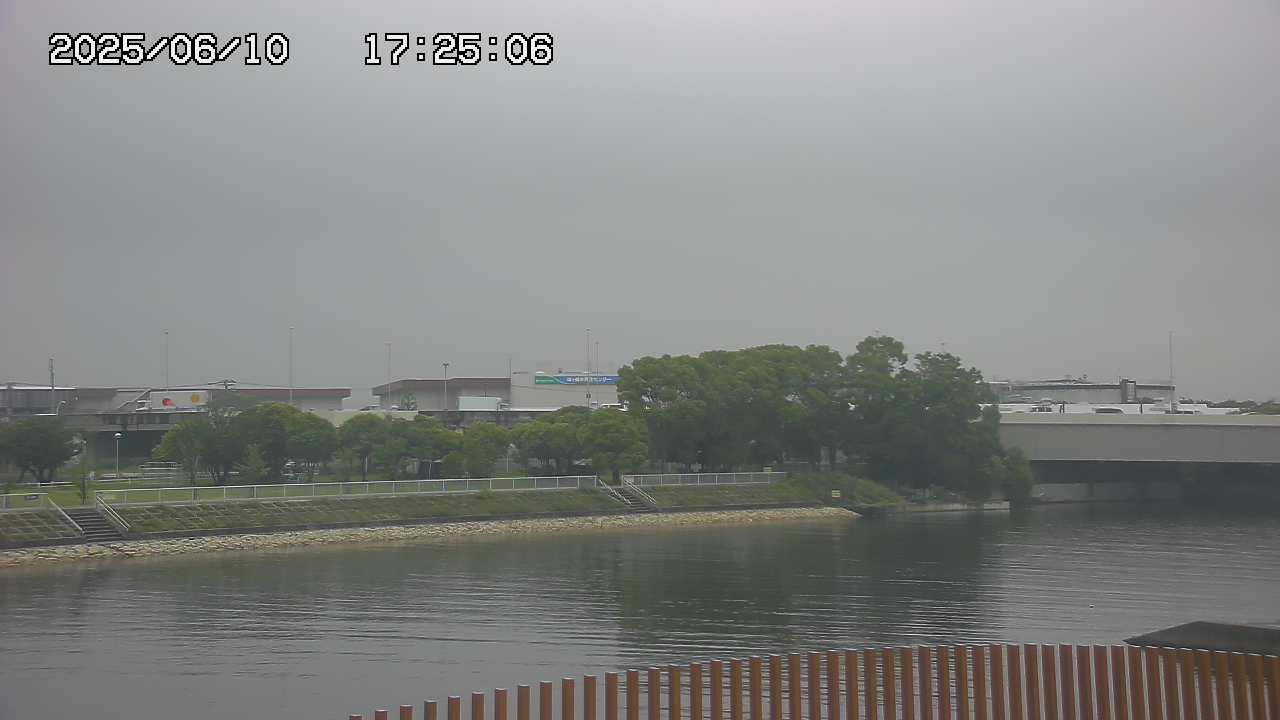 Floodgate full view camera
