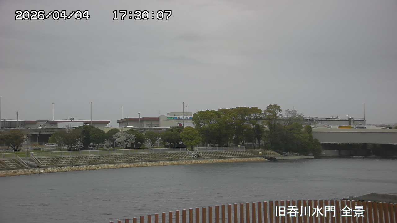 Floodgate full view camera