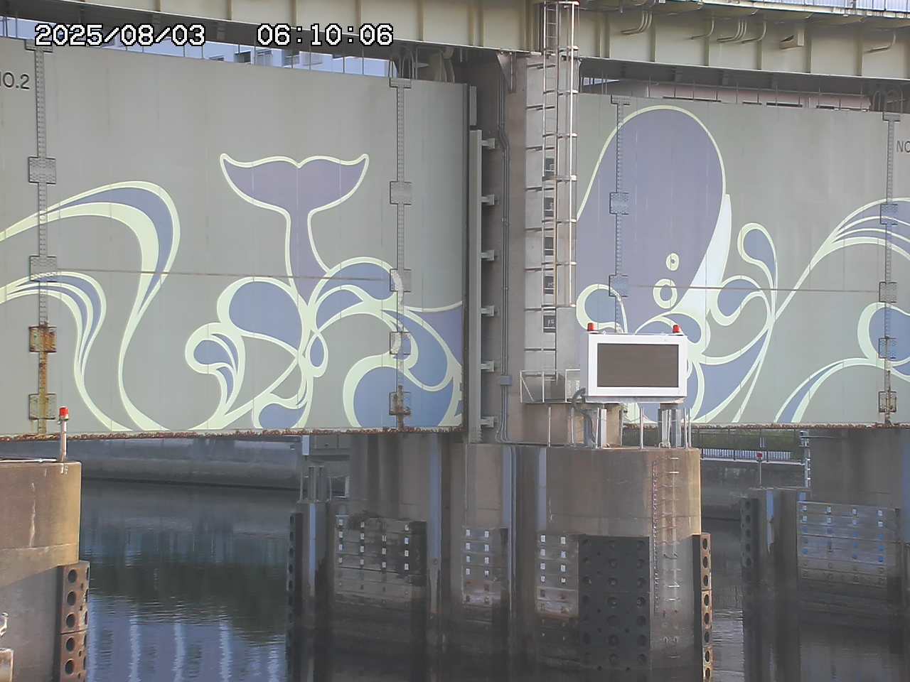 Floodgate full view camera