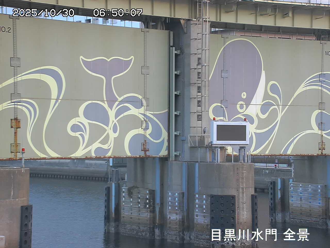 水門全景カメラ