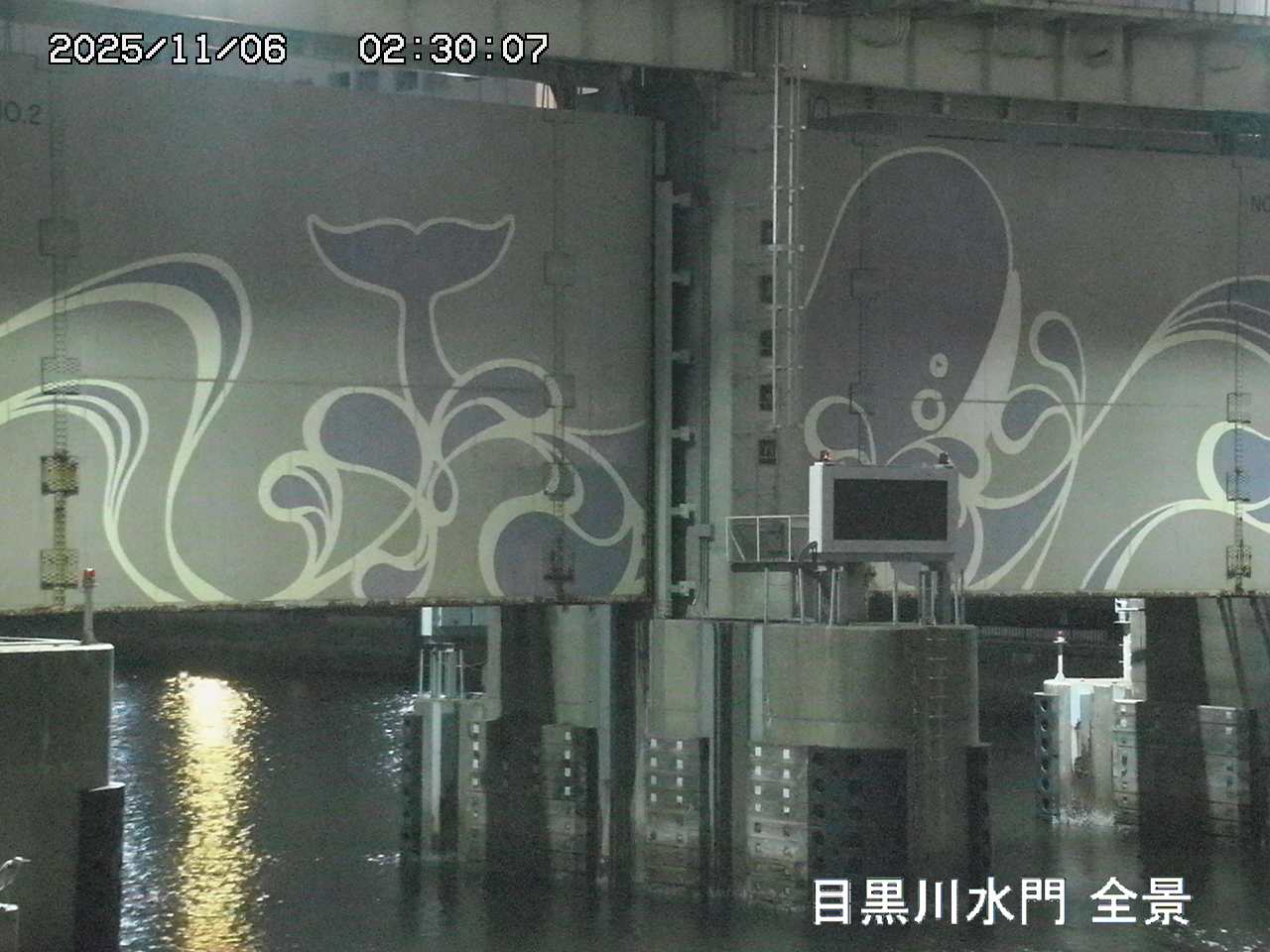 Floodgate full view camera