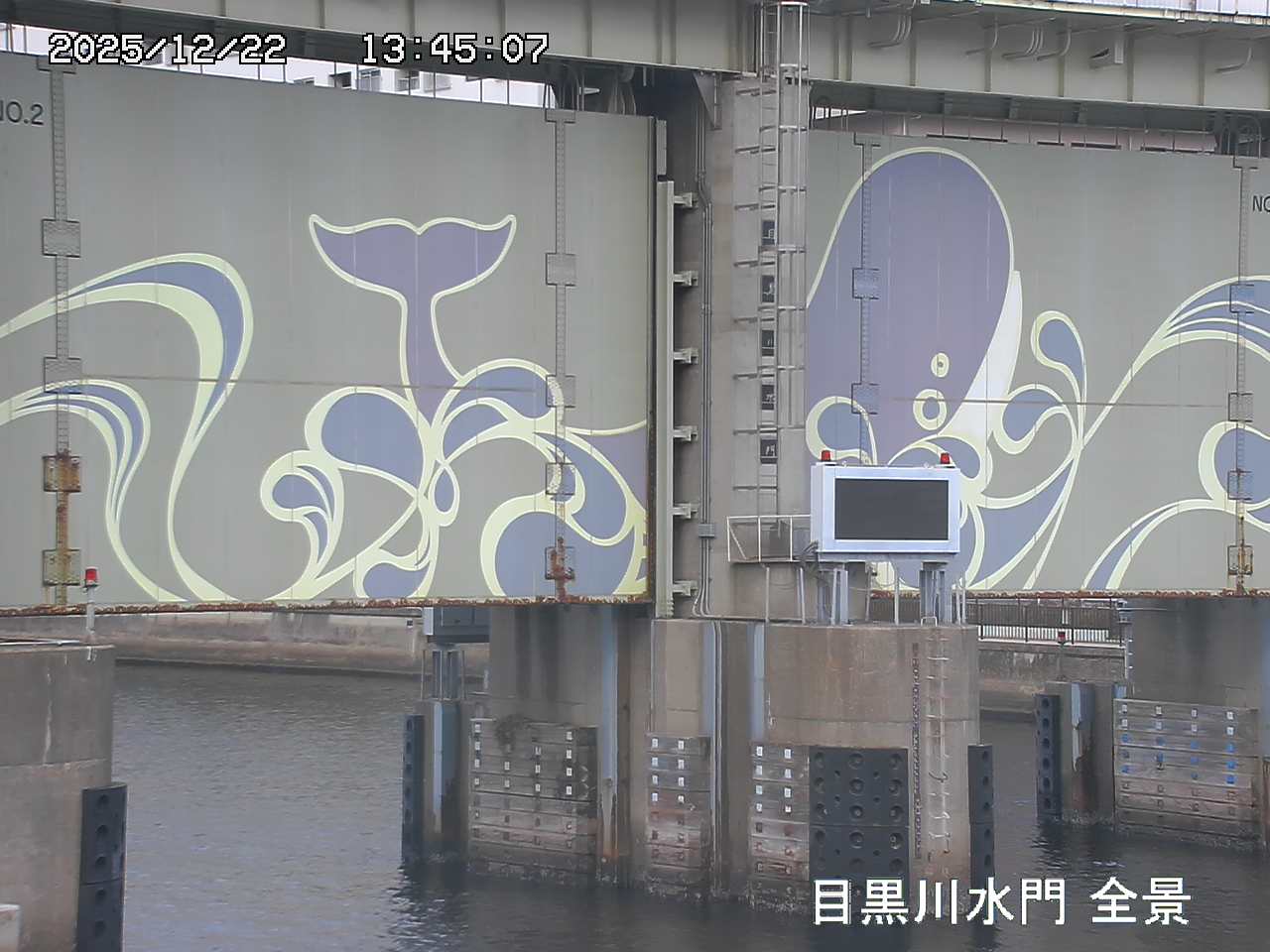 Floodgate full view camera