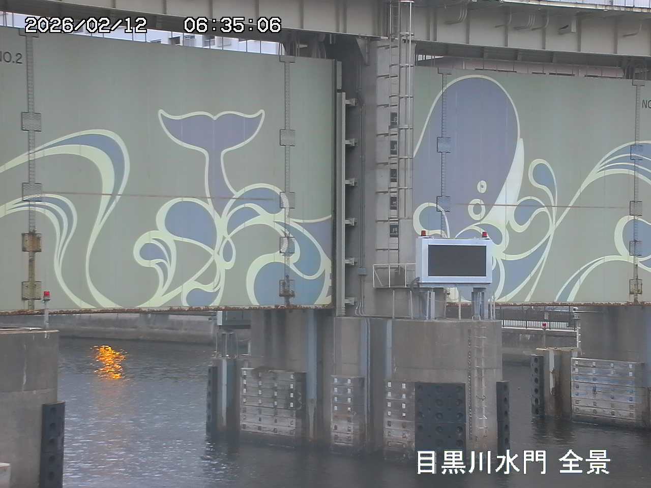 Floodgate full view camera