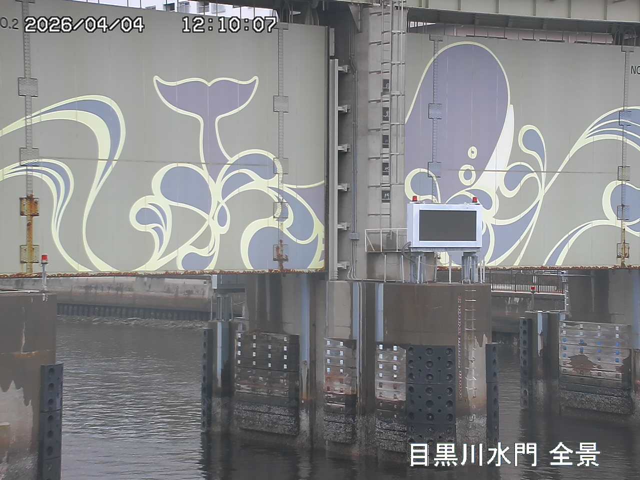 Floodgate full view camera