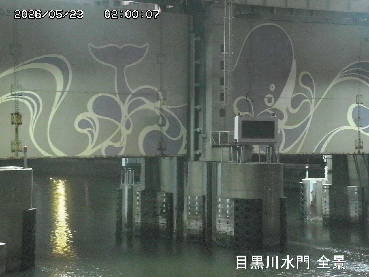 Floodgate full view camera