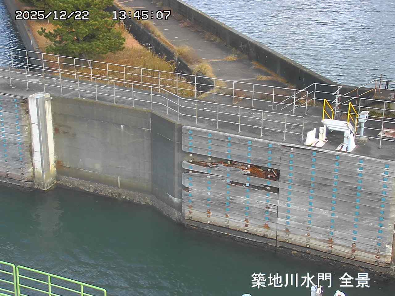 Floodgate full view camera