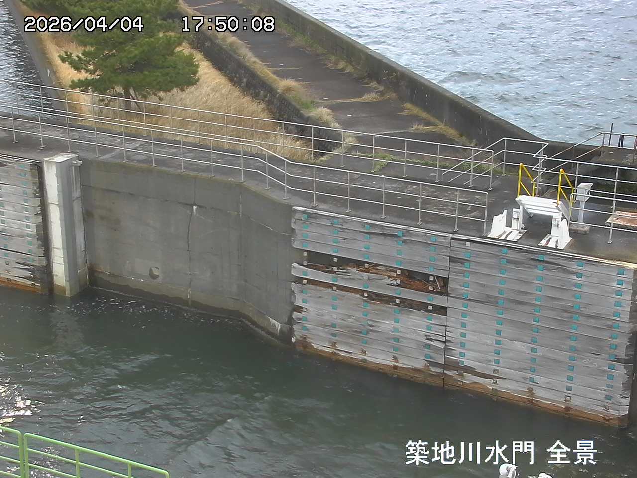 Floodgate full view camera