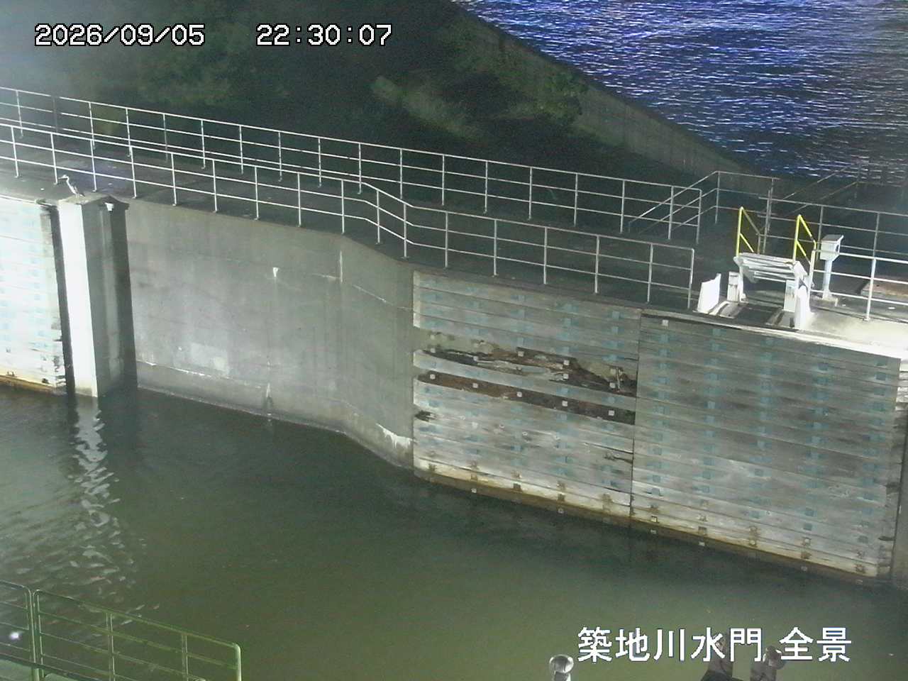Floodgate full view camera
