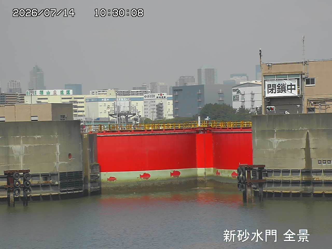 Floodgate full view camera