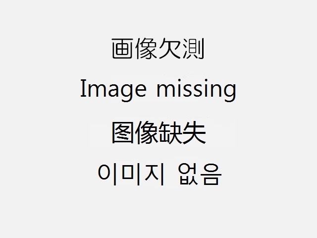 水門全景カメラ